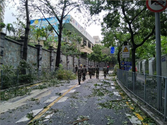 可愛的人民子弟兵 可愛的人民子弟兵