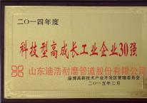 科技型高成長工業(yè)企業(yè)30強(qiáng)
